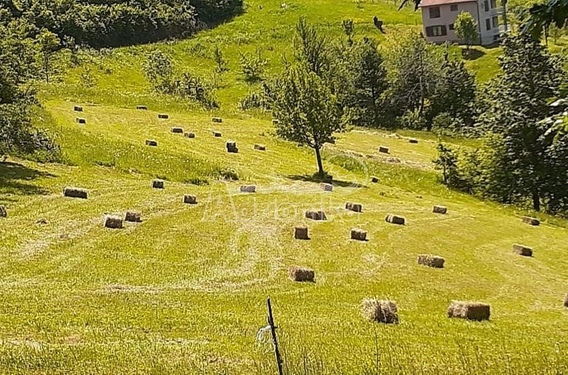 Большое имение рядом с Мойковцем и Биело Полем - фото