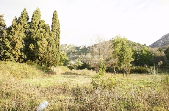 Участок в Заградже, Сутоморе под строительство - фото