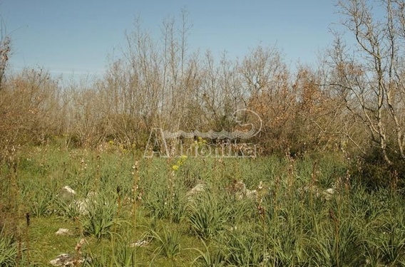 Участок в Бриска Гора, Улцинь - фото