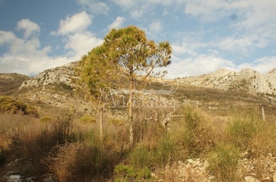 Участок в местечке Ратац - фото