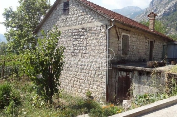 Половина каменного дома, Доброта - фото