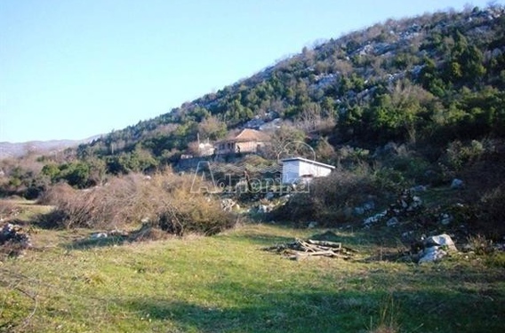 Большое имение на Скадарском озере - фото