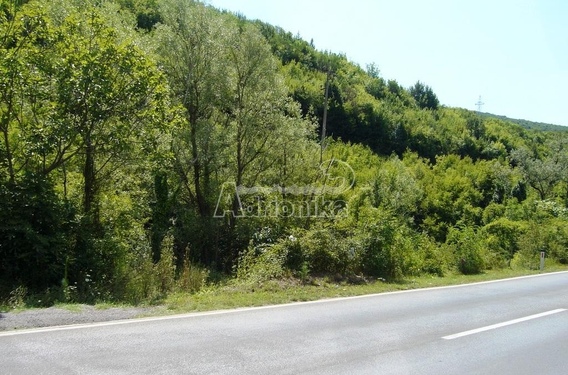 Большой участок, Радановичи - фото