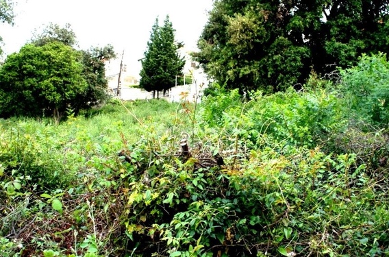 Участок в Утехе, 600м от пляжа. - фото