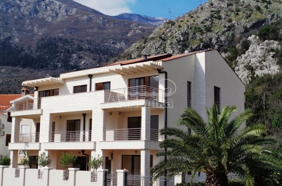 &laquo;Villa Prima&raquo; - мини отель в Рисане - фото