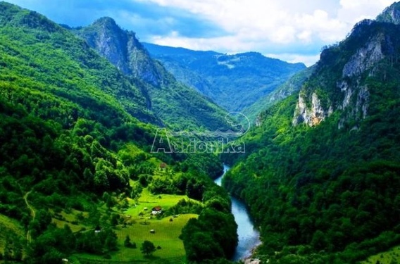 Участок в Жабляк, местечко Пашина Вода - фото