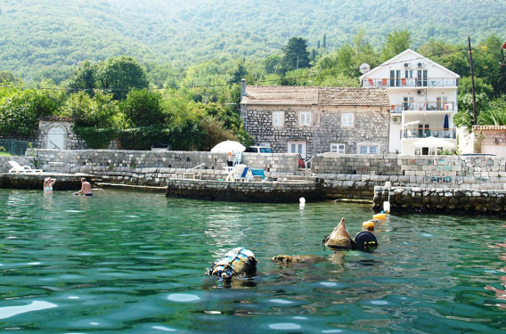 Замечательный дом с апартаментами, Столив, первая линия - фото