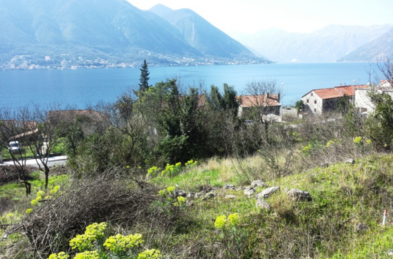 Урбанизированный участок в Доброте - фото