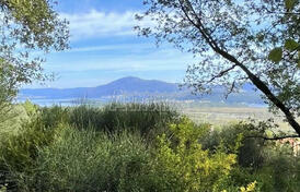 Просторный участок с разрешением на строительство расположен в красивом зеленом районе, Кавач