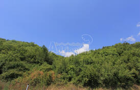 Участок в Радановичи