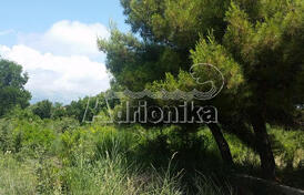 Участок в Утехе, ниже магистрали