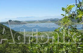 Земля на берегу Скадарского озера, Бар