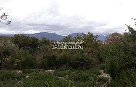 Земельный участок в поселке Радовичи