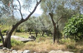 Хороший участок с каменной руиной в Шушане