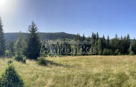 Большой участок площадью 34000 м2 в Плевле, продажа