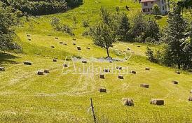 Большое имение рядом с Мойковцем и Биело Полем