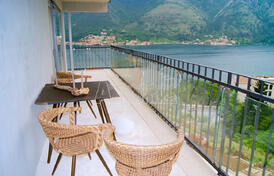 Современная квартира в Которе