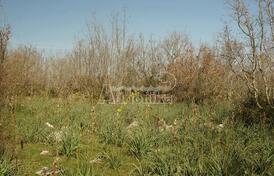 Участок в Бриска Гора, Улцинь