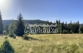 Большой участок площадью 34000 м2 в Плевле, продажа