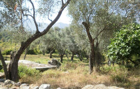 Хороший участок с каменной руиной в Шушане