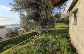 Старый дом в Шушани, Бар с просторным участком