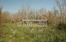 Участок в Бриска Гора, Улцинь