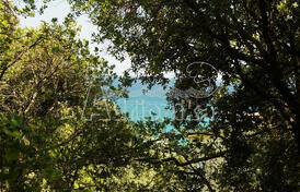 Участок, Утеха, 50м от моря