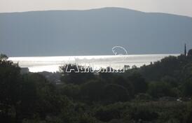 Участок в Кути