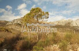 Участок в местечке Ратац