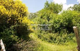 Участок в Туджемили над г. Бар