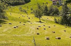 Большое имение рядом с Мойковцем и Биело Полем