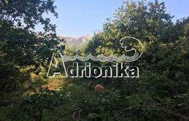 Большой участок в местечке Царевичи, Бар