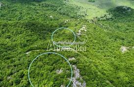 Участок на Скадарском озере