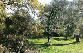 Участок в Тивате