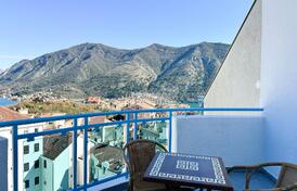 Просторная двухкомнатная квартира, Доброта, Котор