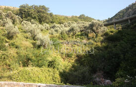 Участок в Петровац