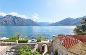 Фантастический проект для завершения реконструкции, Доброта, первая линия