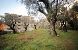 Участок в Петроваце